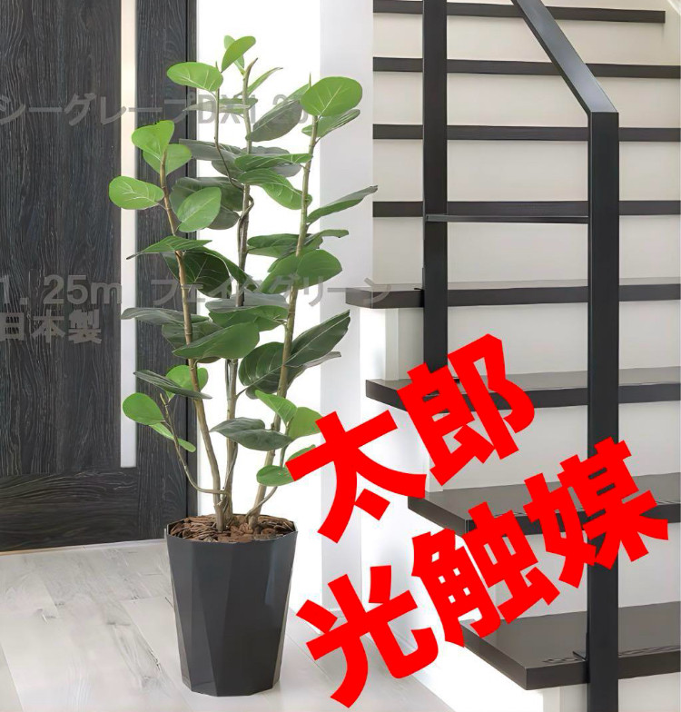 光触媒　人工観葉植物　フェイクグリーン　シーグレープDX1.25