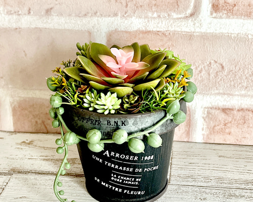 ブリキ缶＊フェイク多肉植物 エケベリア 室内専用 日差し水やり不要