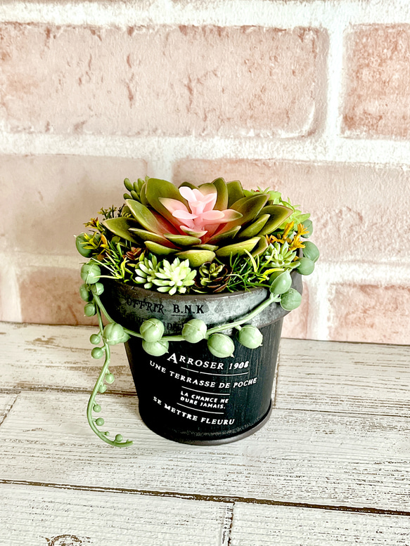 ブリキ缶＊フェイク多肉植物 エケベリア 室内専用 日差し水やり不要