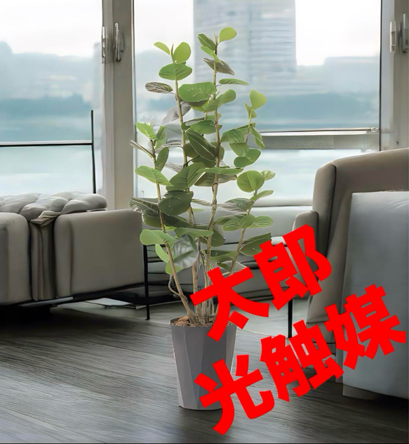 光触媒 人工観葉植物 フェイクグリーン シーグレープDX 1.7m