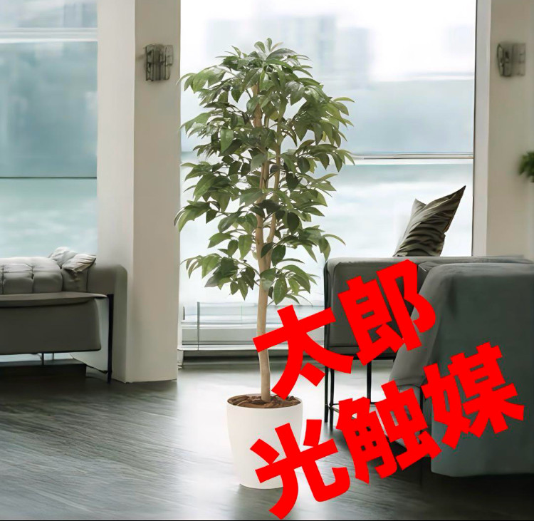 光触媒　人工観葉植物　フェイクグリーン　アルデシア(万両) 高さ 1.3m