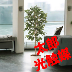 光触媒 人工観葉植物 ウォールグリーン フェイクグリーン 東北