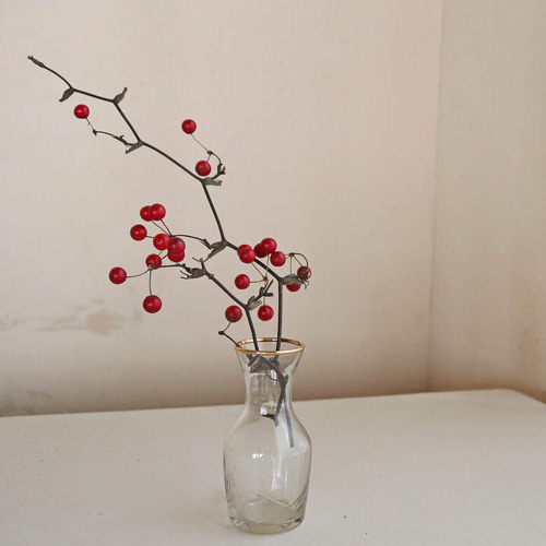 ドライフラワー】サンキライの実 赤 枝 材料 実もの 赤い実 インテリア