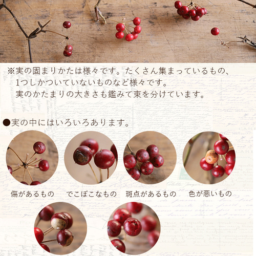 赤い実のドライフラワー枝物 約100cm2本　短かめ3本 ドライフラワー】サンキライの実 赤 枝 材料 実もの 赤い実 インテリア
