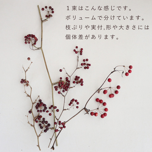ドライフラワー】サンキライの実 赤 枝 材料 実もの 赤い実 インテリア