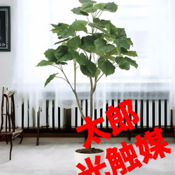 光触媒　人工観葉植物　ウォールグリーン　フェイクグリーン　ガジュマルアゴッド@ 光触媒 人工観葉植物 ウォールグリーン フェイクグリーン