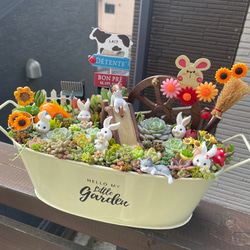 専用 箱庭風多肉植物寄せ植え 多肉植物 まぁちゃん 通販 14690624