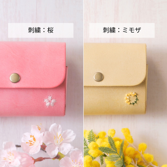  第6張的照片