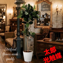 光触媒 人工観葉植物 ウォールグリーン フェイクグリーン ガジュマル