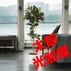 光触媒 人工観葉植物 ウォールグリーン フェイクグリーン サンスベリア