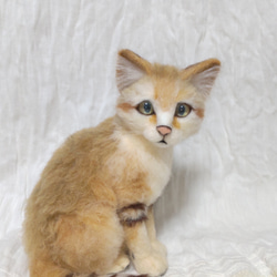 オッドアイの三毛猫!?ジャパニーズボブテイル風の羊毛猫ちゃん!! 羊毛