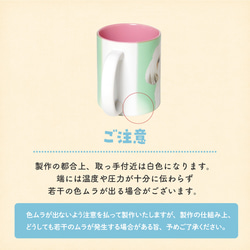  第13張的照片