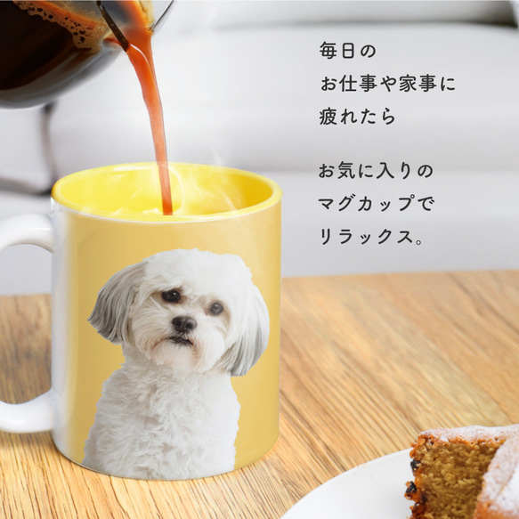  第11張的照片