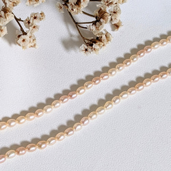 【再販】淡水パール ライス コーラル 3.5㍉ 40cm 貫通穴 パール ビーズ チャーム 5枚目の画像