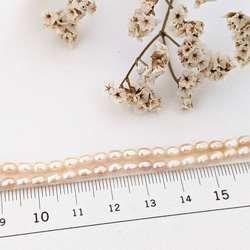 【再販】淡水パール ライス コーラル 3.5㍉ 40cm 貫通穴 パール ビーズ チャーム 7枚目の画像