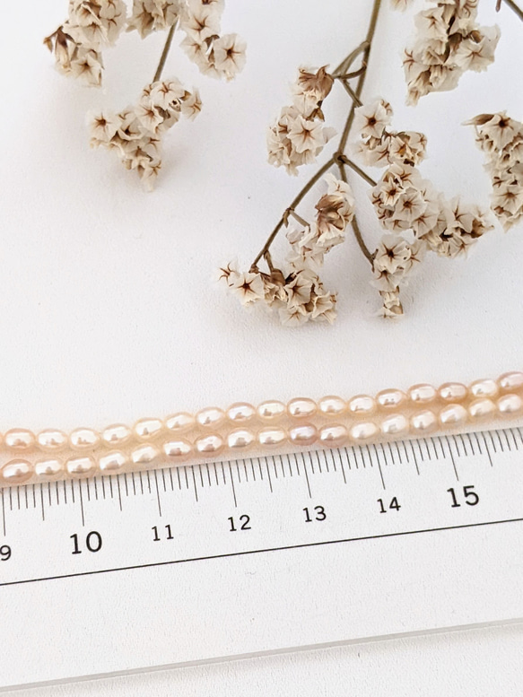 【再販】淡水パール ライス コーラル 3.5㍉ 40cm 貫通穴 パール ビーズ チャーム 7枚目の画像