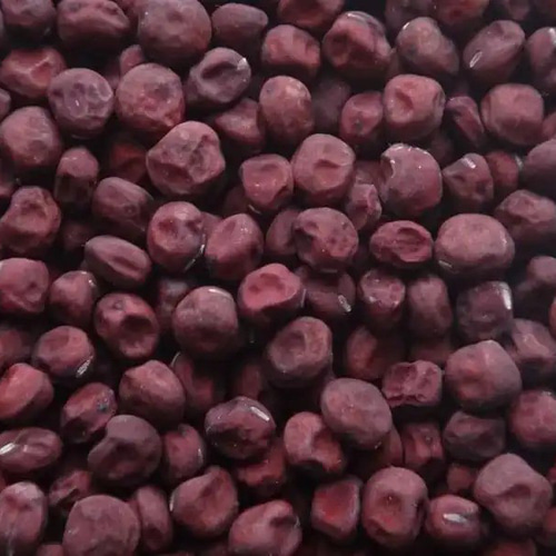 赤えんどう豆 種 オーガニック 固定種 30粒 その他インテリア