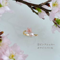 【選べるカラー】桜 ピンク フォークリング 淡水パール シェル フリーサイズ 14kgf  誕生日 母の日 ギフト 指輪 7枚目の画像