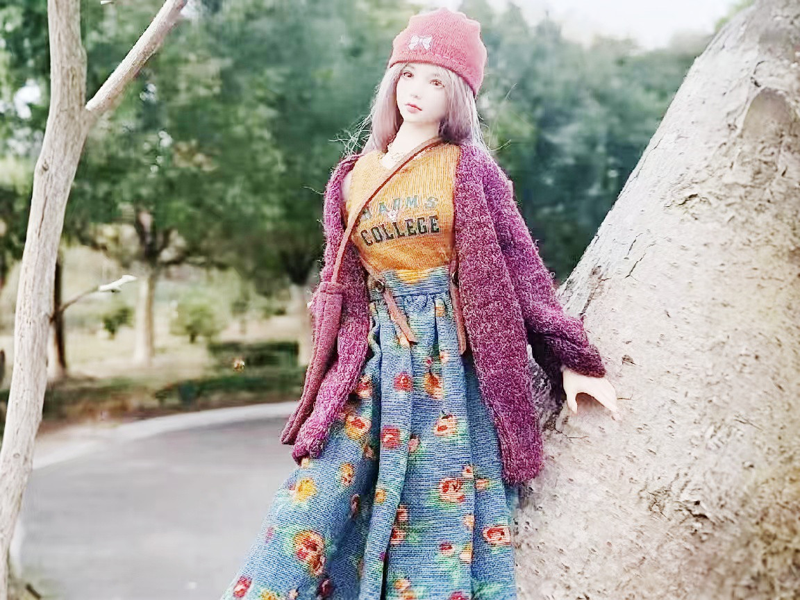 1/4 アゾン ボークスMDD ドルフィードリーム ドール服 オーダーメイド [カスタマイズ]