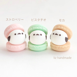 アニマルマカロン♡シマエナガ&ぶた c2ba985c4d465226cff243c15b0bc3