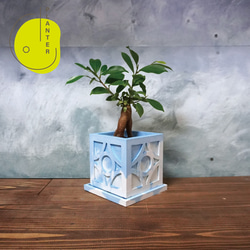 2fdee697541d3ceda14573ce8f2103