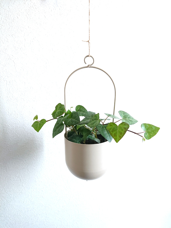 ○数量限定○ ”ハートアイビー 軽量ハンギング鉢カバーセット