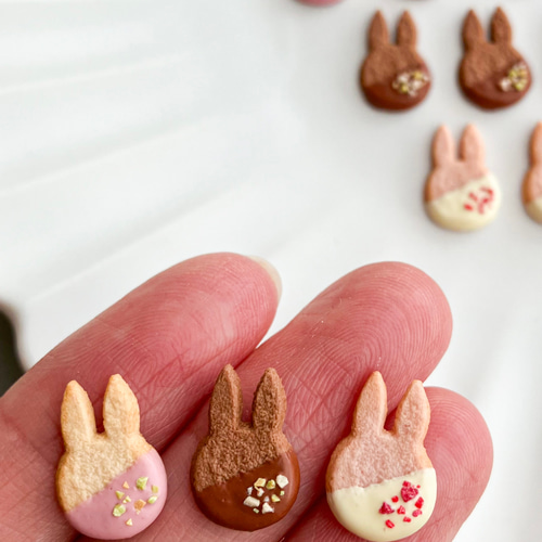 うさぎのチョコがけクッキー おもちゃ・人形 mapu 通販 18905632
