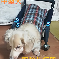 四輪歩行器、犬歩行器、犬車椅子（ミニチュアダックス専用） ハウス