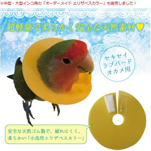 オーダーメイド 鳥用 エリザベスカラー ウロコインコ
