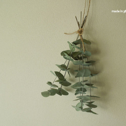 ユーカリのスワッグ 0_42ab94a50c5b10ac0d64608bb39d