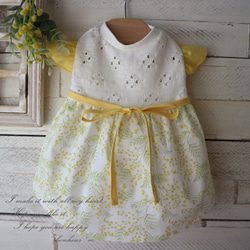 ミモザ ペットグッズ のおすすめ人気通販｜Creema(クリーマ