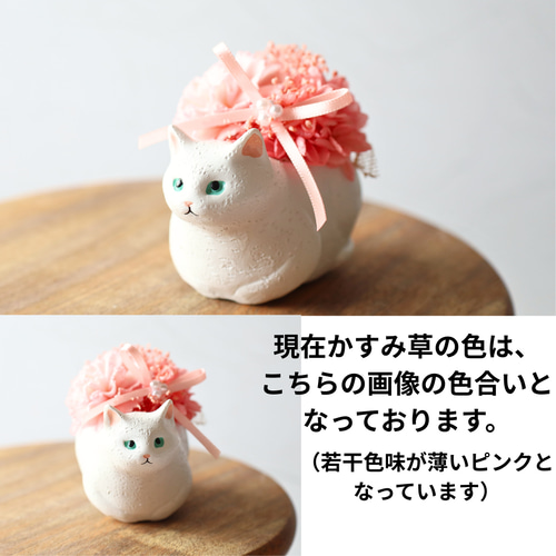 ほっこりnekoちゃん✶ThanksMom♡LP/ 猫 母の日 母の日フラワー お祝い