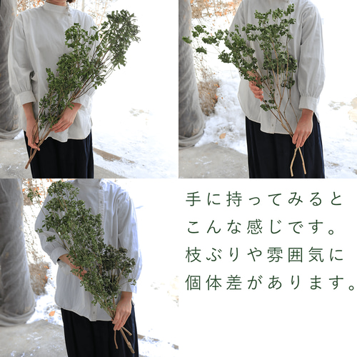 大枝♪ドライフラワー あせび 【グリーン】 花材 枝 ナチュラル
