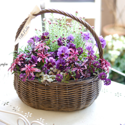 アッサンブラージュ〛春の寄せ植え パンジービオラ 花かんざし