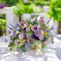 光触媒 スワッグ フラワーリース 観葉植物 贈り物 プレゼント 胡蝶蘭