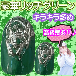 緑 蝶々 バタフライ ネイルチップ ニュアンス 漆黒 ブラック グリーン チョウチョ ちょう 上品 珍しい 生き物 爪 7枚目の画像