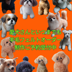 愛犬さんの羊毛フェルトオーダー・わんちゃん制作 羊毛フェルト SORA 