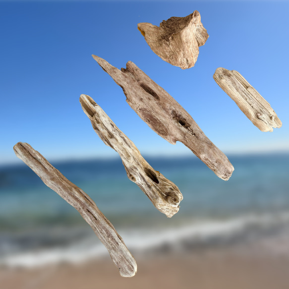 地元の海から取れました少し大きめの流木です！ 湘南の海を感じる流木 350g その他インテリア雑貨 Yuno 2nd 通販