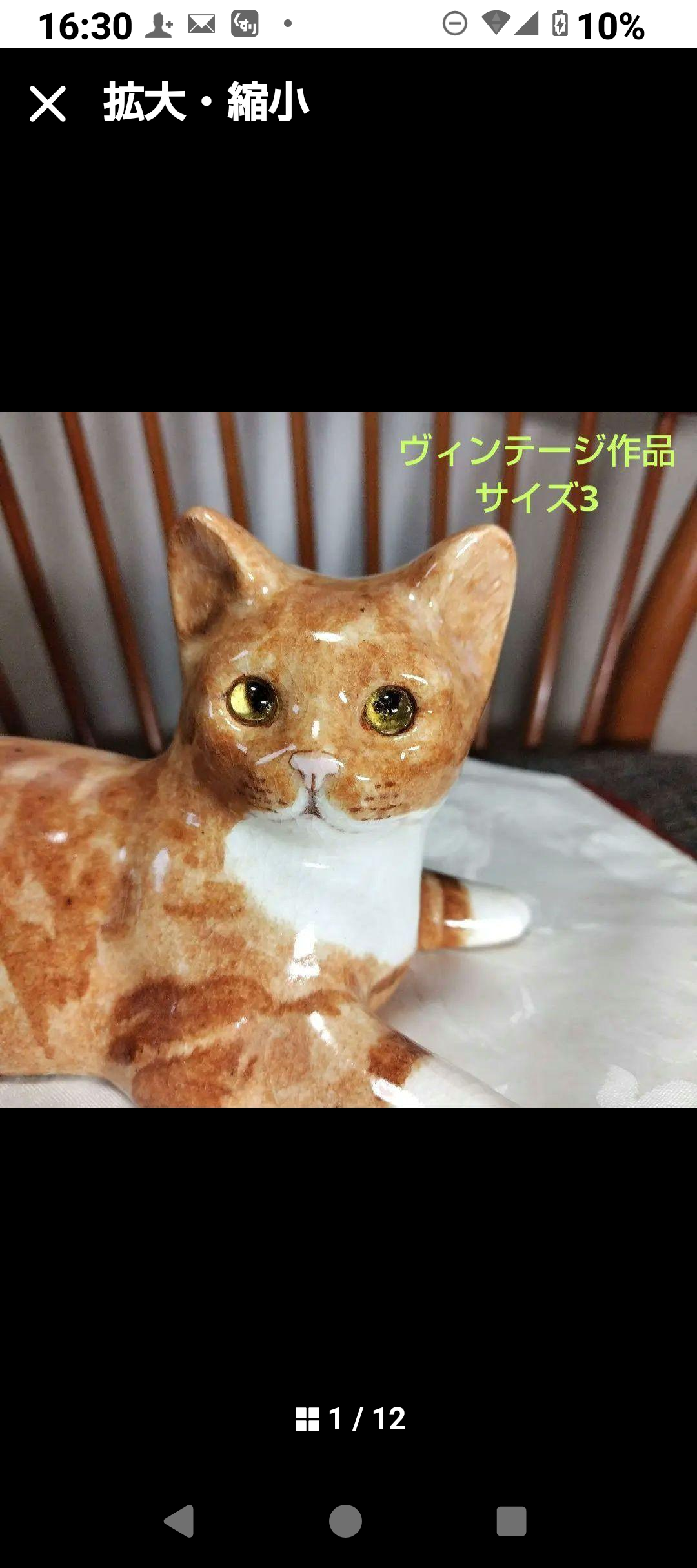ウィンスタンレイキャット(ケンジントンキャット)サイズ「3」ジンジャー猫