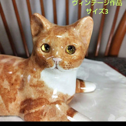 ２匹おまとめウィンスタンレイ、ジンジャーサイズ3とコッカスパニエル ウィンスタンレイキャット(ケンジントンキャット)サイズ「3