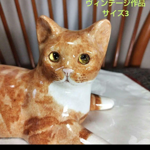 オッドアイの白猫ウィンスタンレイ(ケンジントン)キャット サイズ3 M NO49 驚きの値段で ウィンスタンレイキャット サイズ3 オッドアイの白