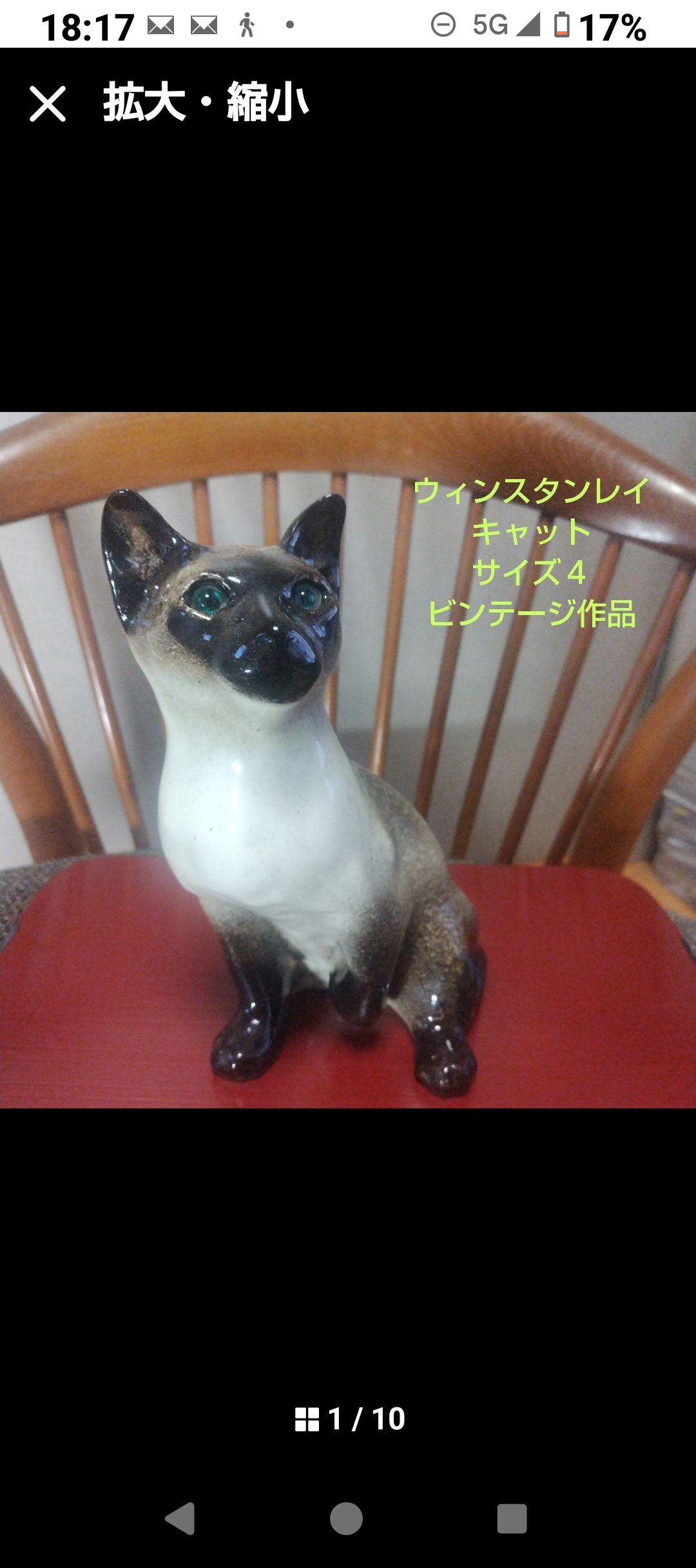 ウィンスタンレイキャット（ケンジントンキャット）サイズ4のシャム