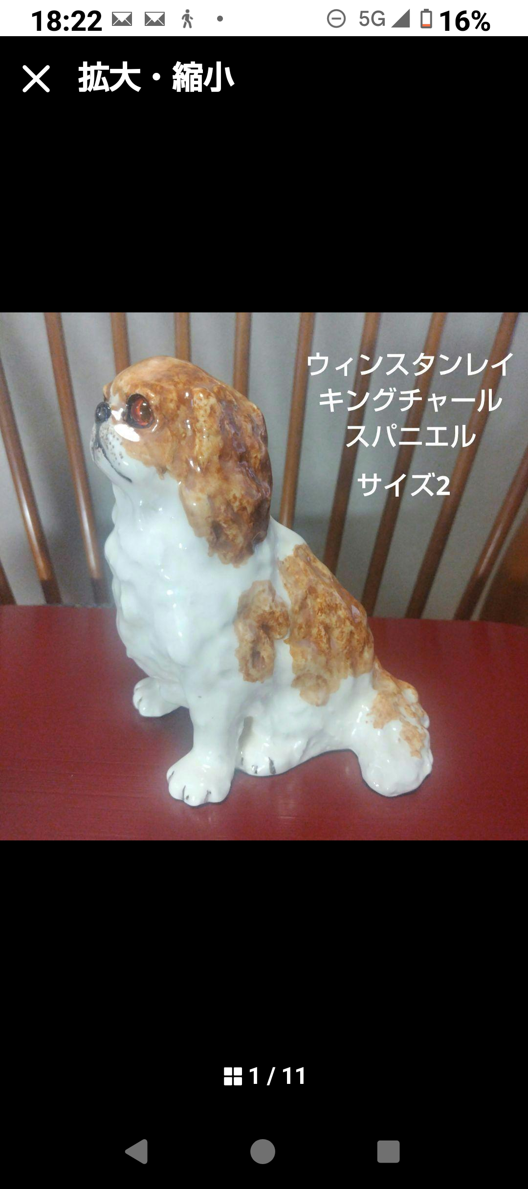 ２匹おまとめウィンスタンレイ、ジンジャーサイズ3とコッカスパニエル ２匹おまとめウィンスタンレイ、ジンジャーサイズ3とコッカスパニエル