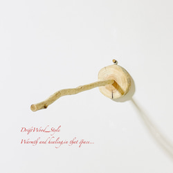 流木インテリア 流木枝を使った小鳥の止まり木 インコの壁掛けパーチ ピン止めタイプ ビス止め変更可 N110 9枚目の画像