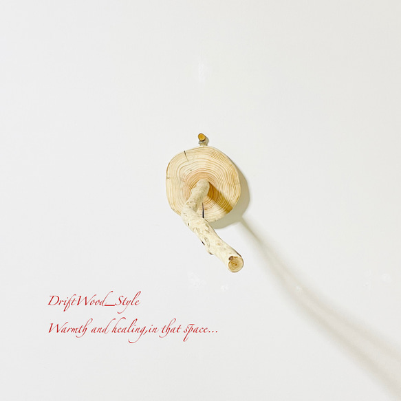 流木インテリア 流木枝を使った小鳥の止まり木 インコの壁掛けパーチ ピン止めタイプ ビス止め変更可 N110 10枚目の画像