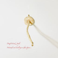 流木インテリア 流木枝を使った小鳥の止まり木 インコの壁掛けパーチ ピン止めタイプ ビス止め変更可 N110 8枚目の画像