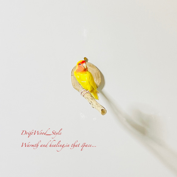 流木インテリア 流木枝を使った小鳥の止まり木 インコの壁掛けパーチ ピン止めタイプ ビス止め変更可 N110 5枚目の画像