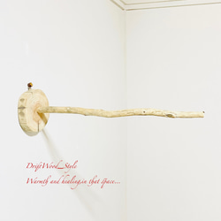 流木インテリア 流木枝を使った小鳥の止まり木 インコの壁掛けパーチ ピン止めタイプ ビス止め変更可 N110 7枚目の画像