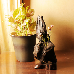 流木流木枝のオブジェ drift woods インテリア 一輪挿し・花瓶・花器