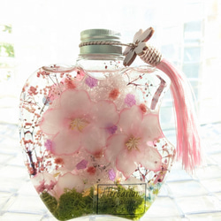 桃と桜のハーバリウム ギフトにも リバーシブル ギフト 入学祝 卒業祝 ホワイトデー 1枚目の画像